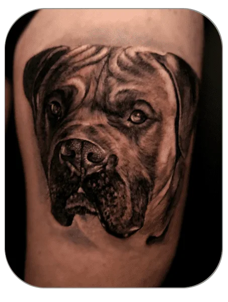 retrato de mascota pero en muslo hecho por Azumi, tattoo realista, tattoo Mollet del Vallès (Barcelona)