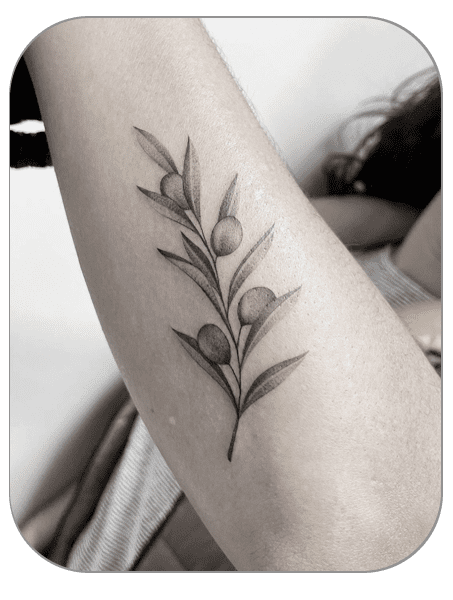 tatuaje ramita de olivo estilo Fineline hecho por Carla en the last gallery tattoo studio Mollet del Vallès, Barcelona, tatuaje femenino y fino