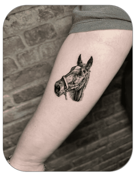 tatuaje de busto de caballo estilo micro realista hecho por Alice en the last gallery tattoo studio Mollet del Vallès, Barcelona, tatuaje fino y elegante